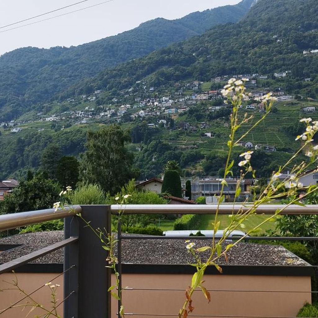 Image 3 - Casa Diana Ticino