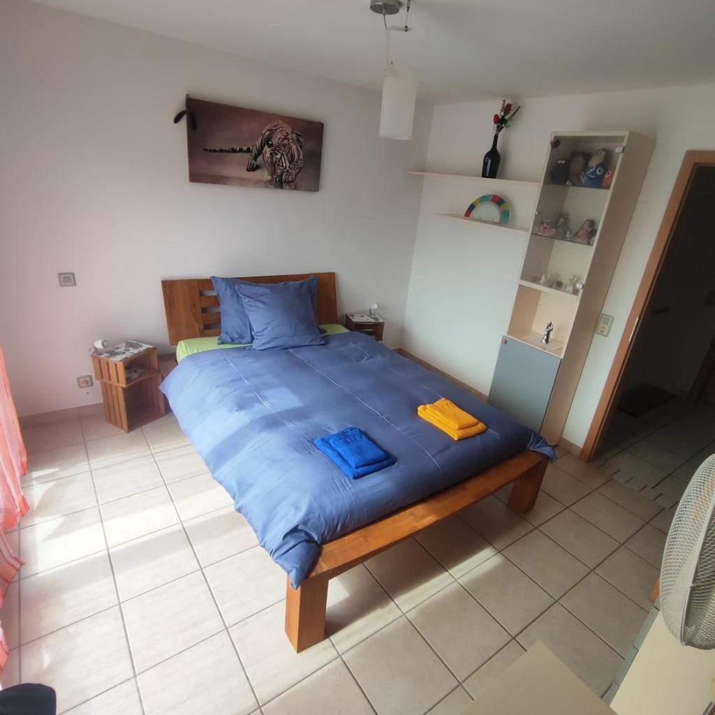Image 11 - Casa Diana Ticino