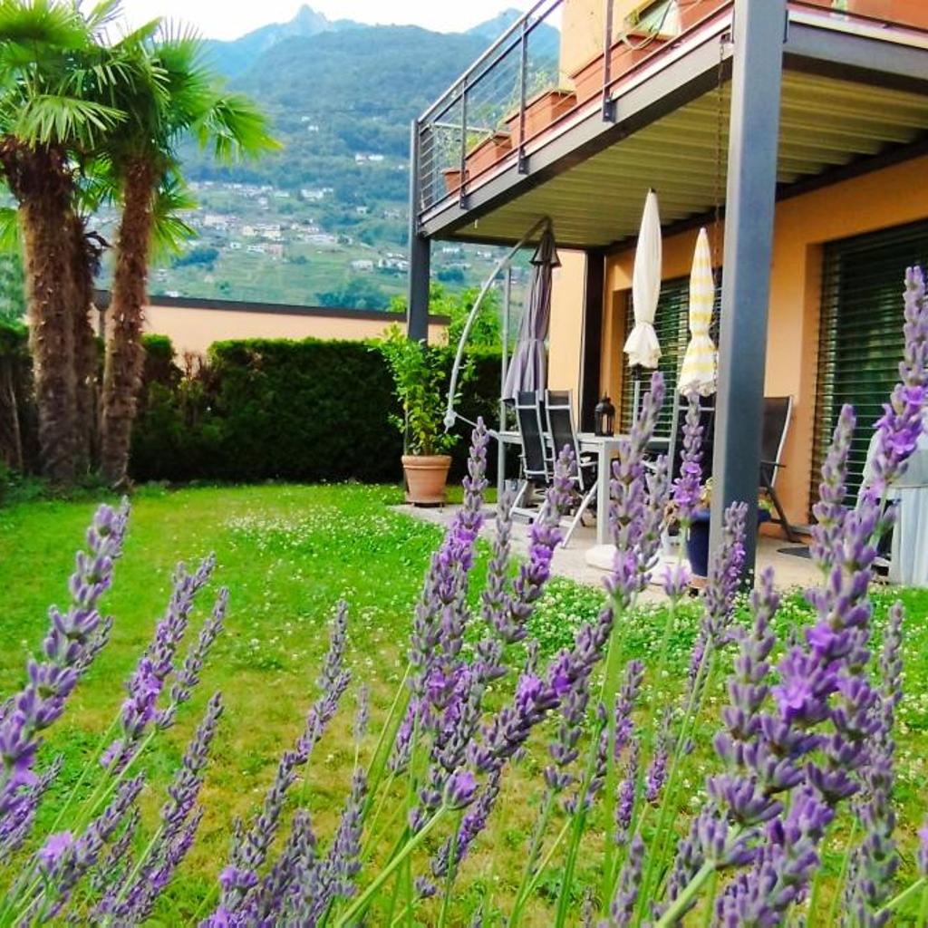 Image 2 - Casa Diana Ticino