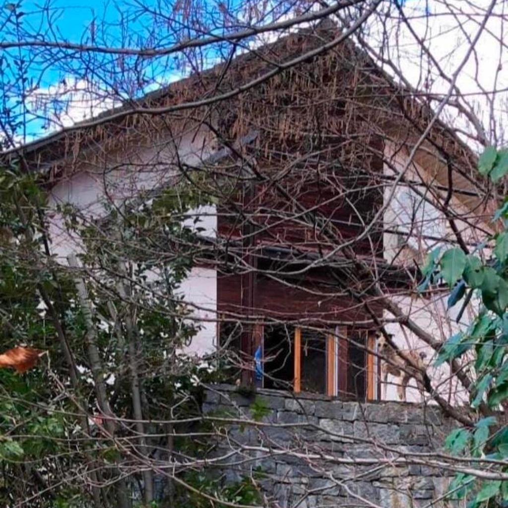 Image 0 - Gemütliche Gartenwohnung im Tessin, 70 qm