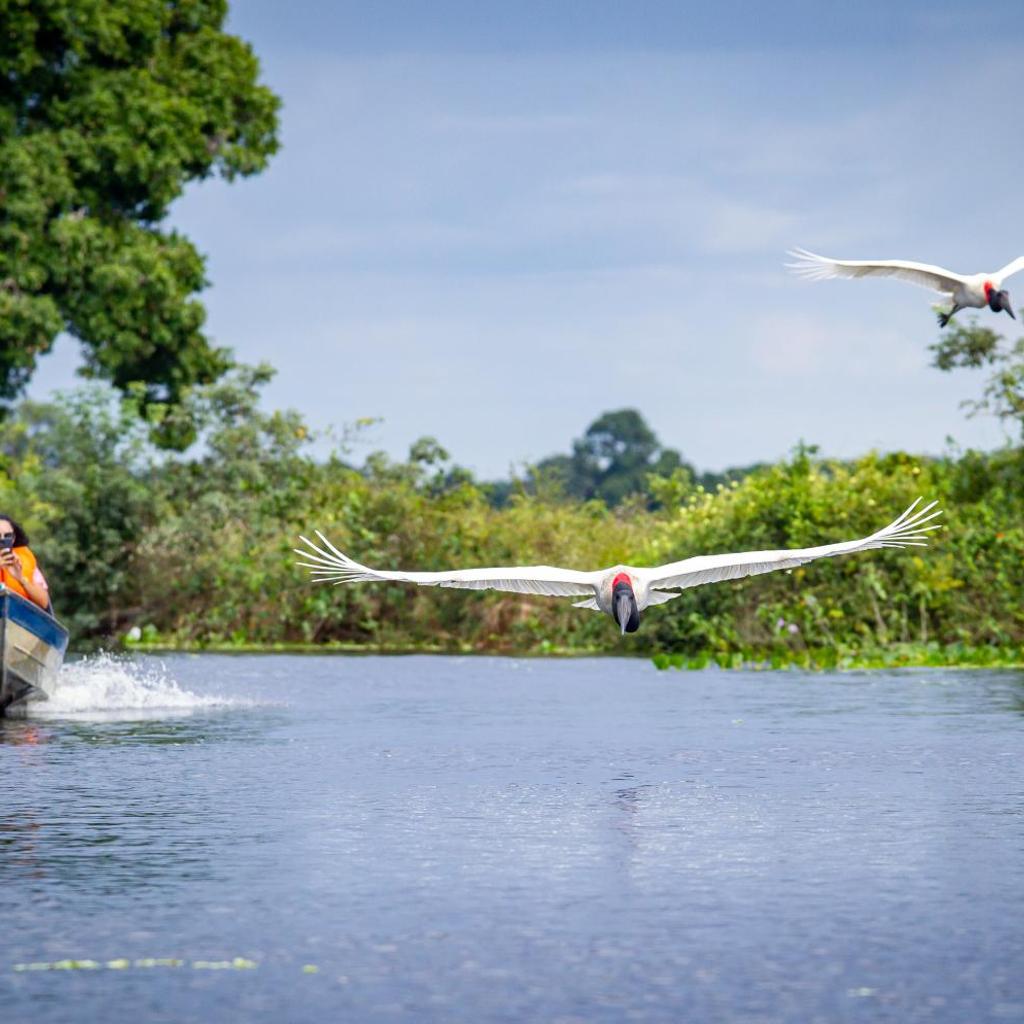 Hotel Pantanal Mato Grosso — foto 9