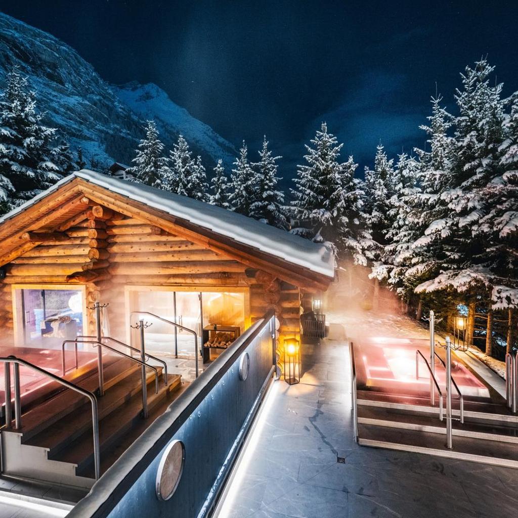 Wellness Hotel Alpenhof — 