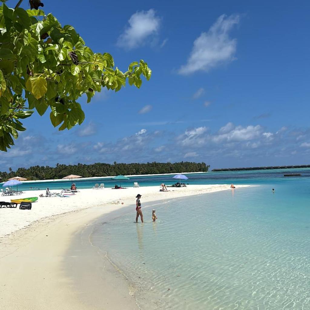 VelaaVani - Turtle Hive Dhiffushi, photo 4