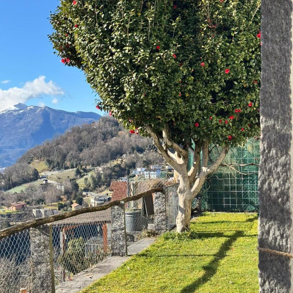 Image 60 - Casa Reto - Das Ferienhaus im Tessin