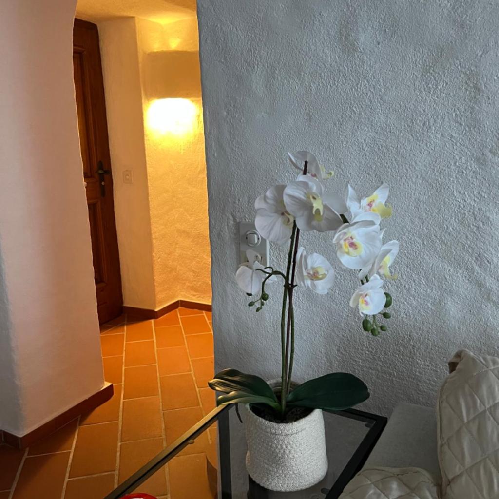 Image 1 - IL RUSTICO a Caslano - Offerta ultime date disponibili autunno 2026!