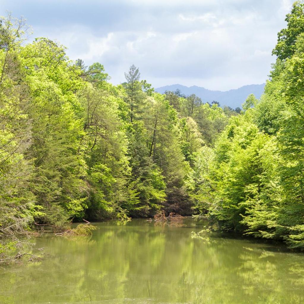 Photograph of Lil' Smoky Studio by Stony Brook Cabins