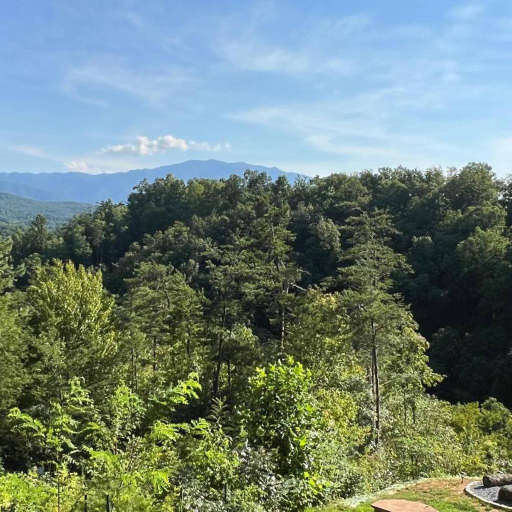 Photograph of A Grand View Lodge #540