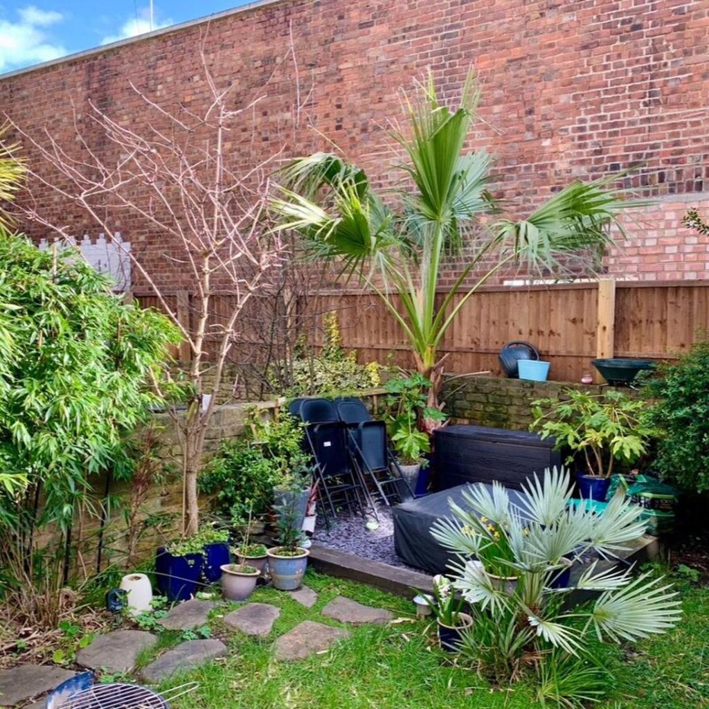 Photograph of Central Victorian Garden flat