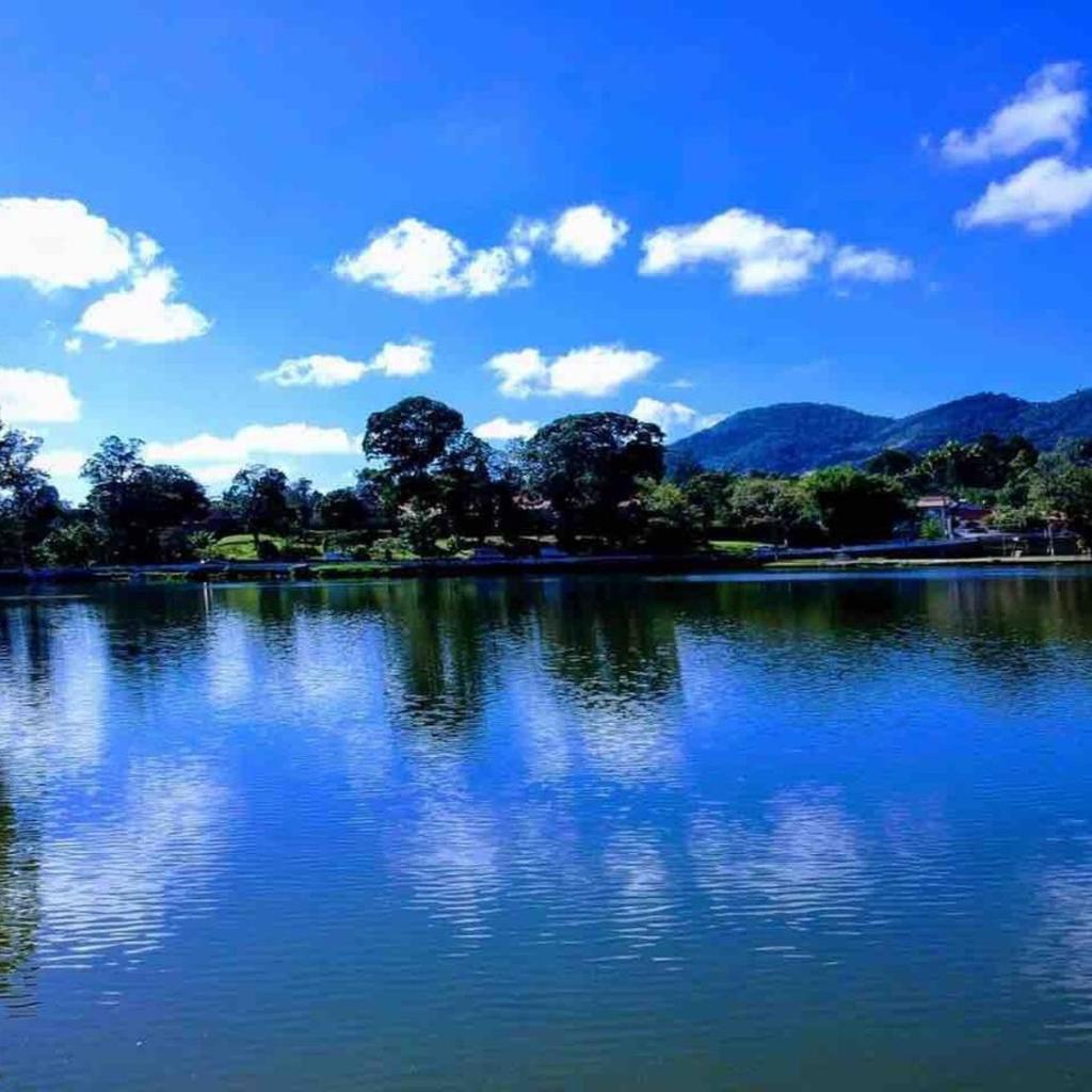 Ap da Serra em Barão de Javary — foto 6