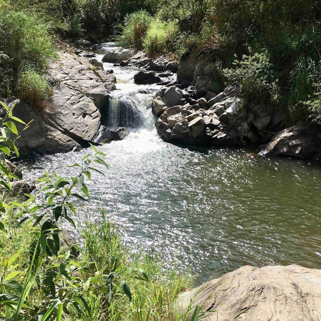 Ap da Serra em Barão de Javary — foto 10