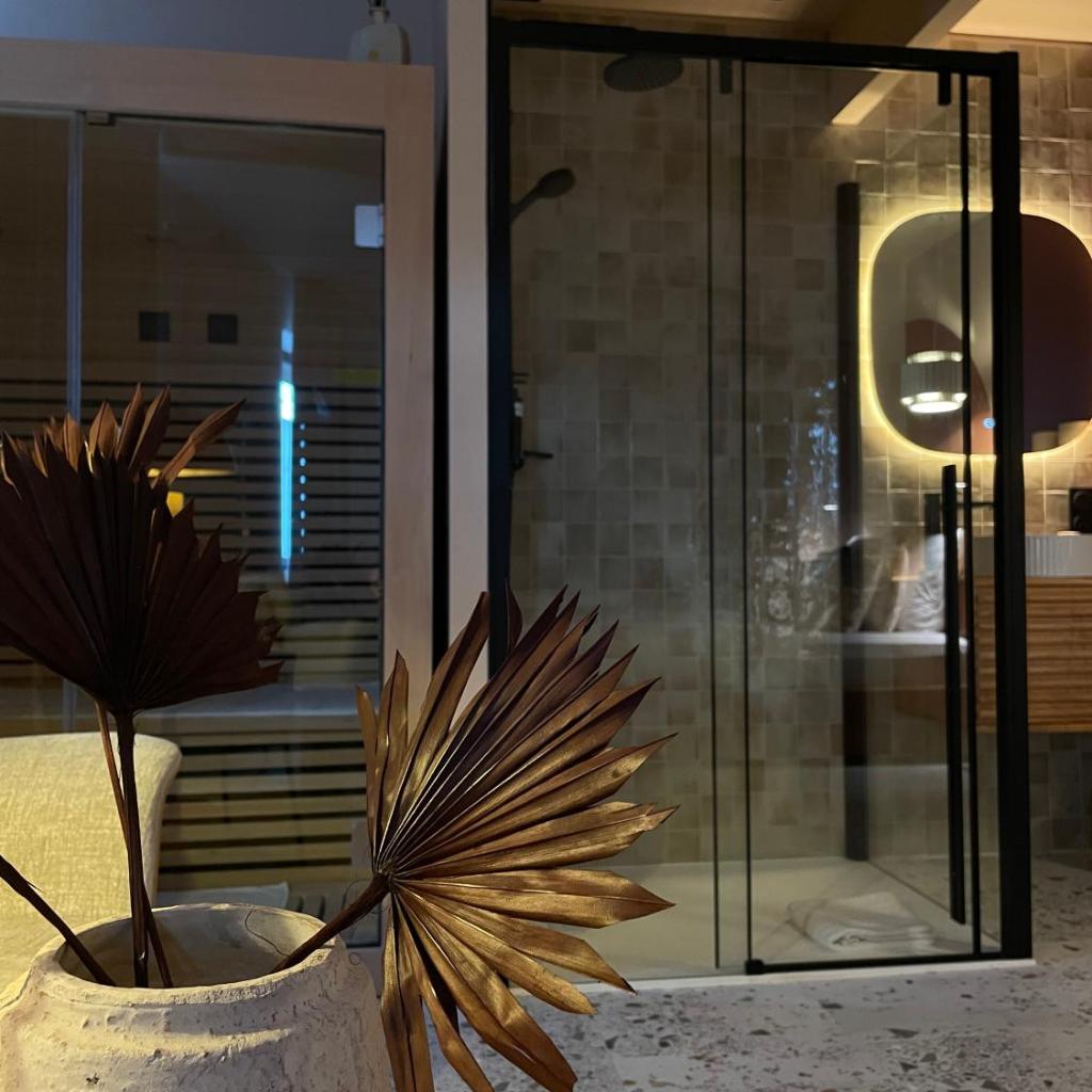 Photograph of Love Room Strasbourg, Suite Ibiza, Balnéo & Sauna