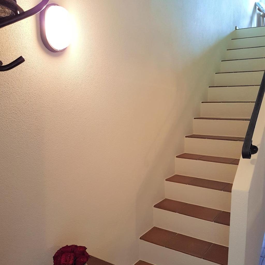 Image 5 - 