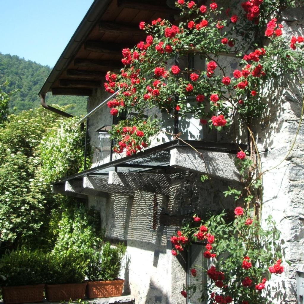 Image 3 - Fienile