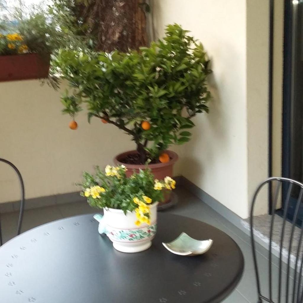 B&B Il Vigneto – Bild