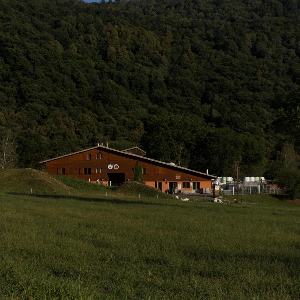 Carousel image 93