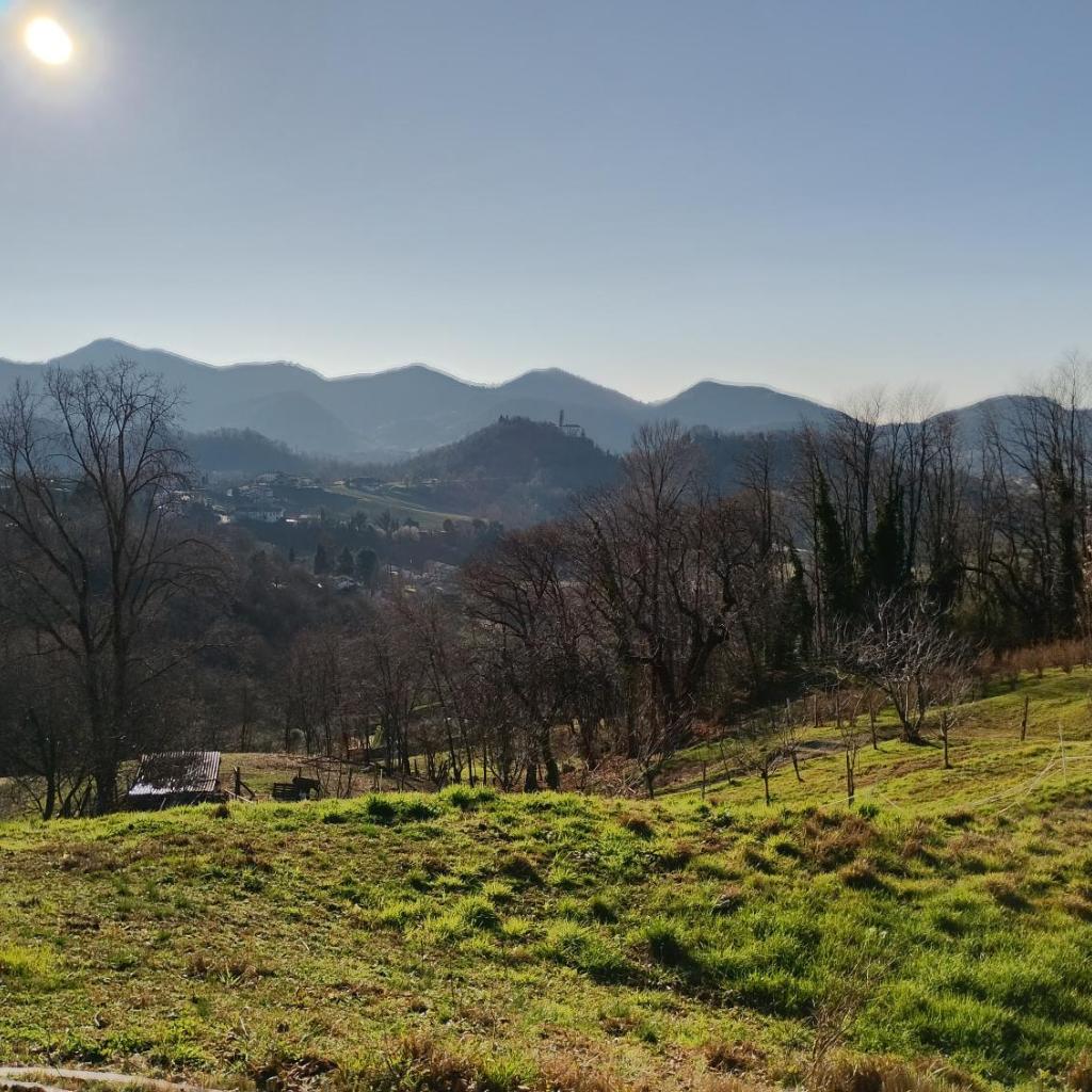 La Collina Delle Api photo