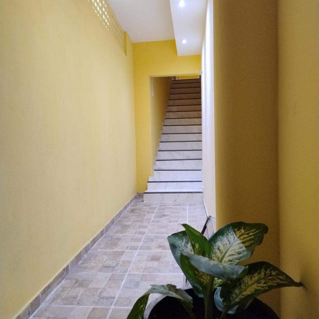 House in Camocim — foto 5