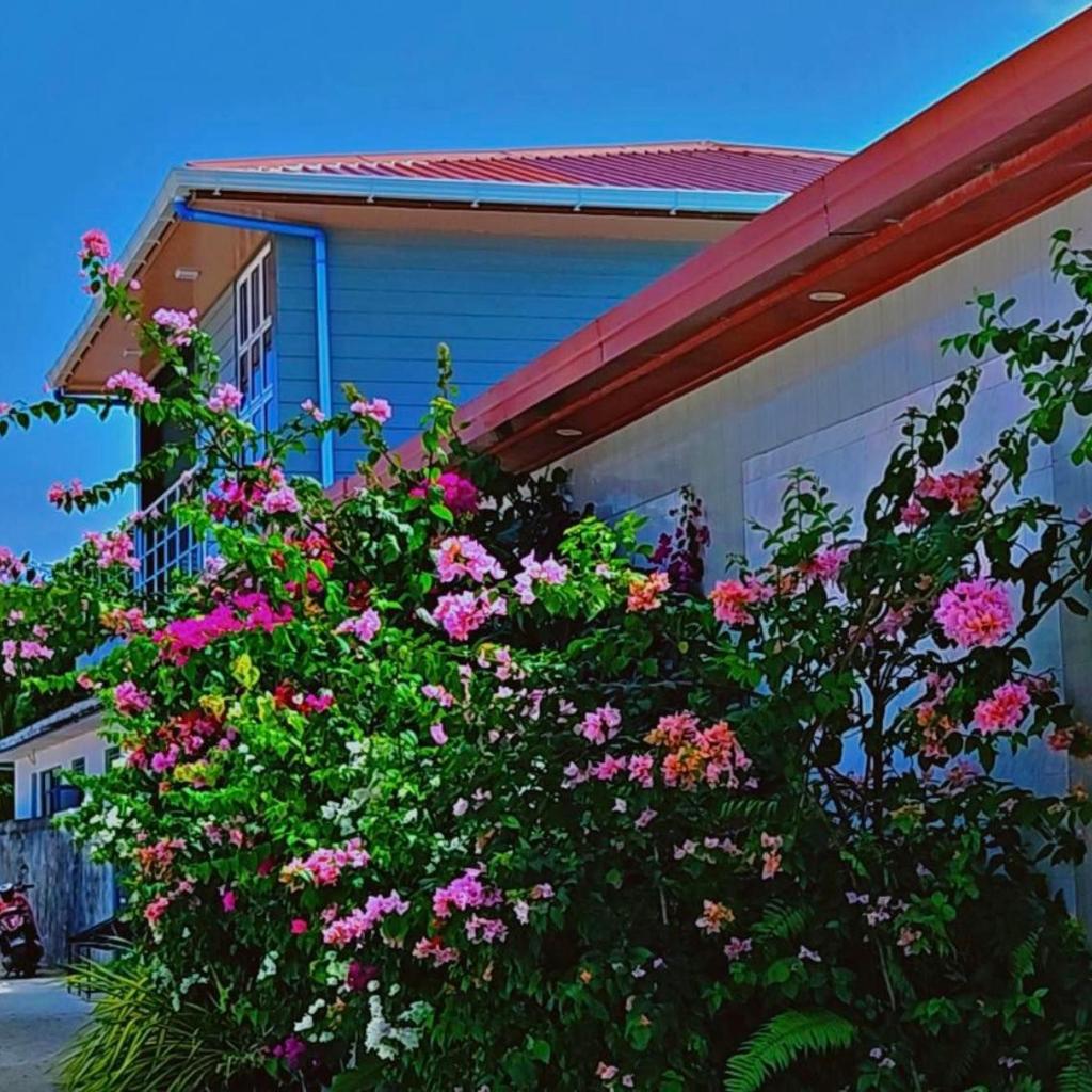 Jazz guest house, photo 5