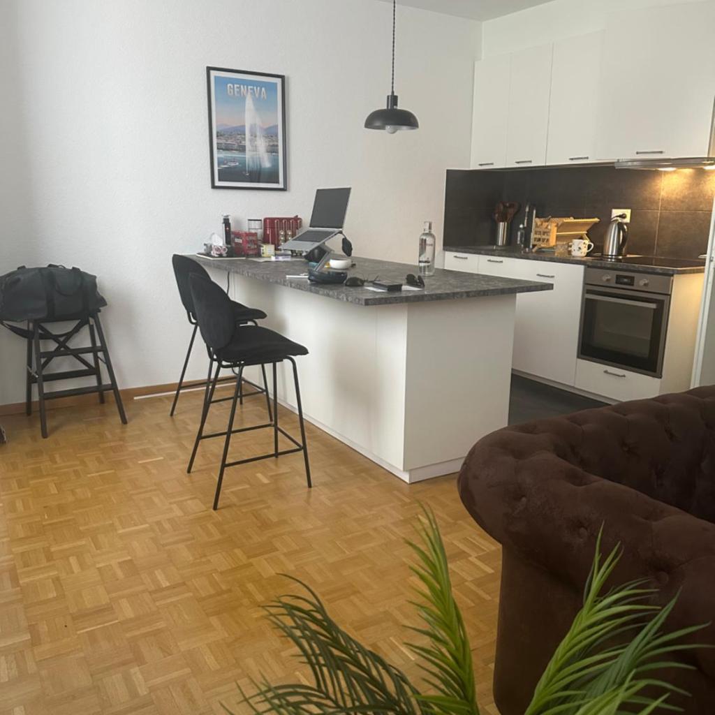 Photograph of Magnificent apartment, Geneva Center, Geneva Lake
