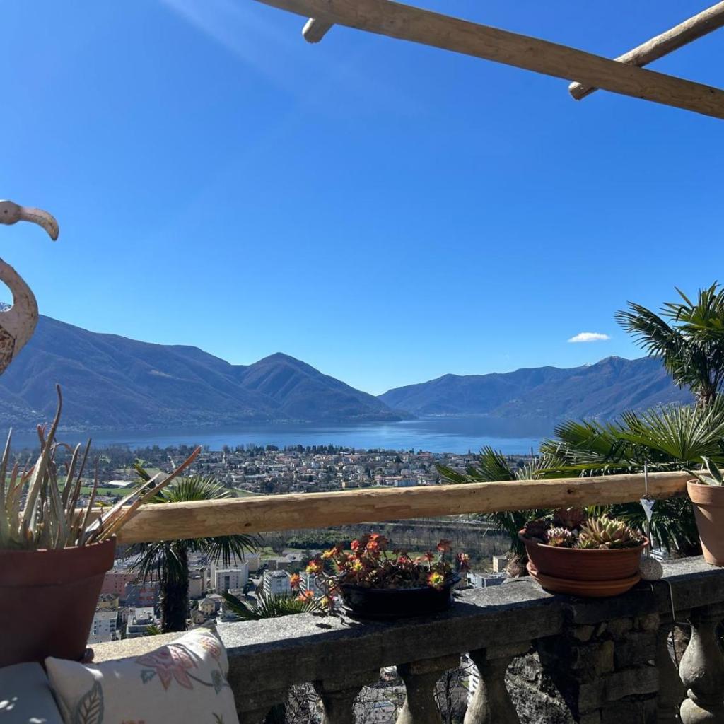 Pensione Olanda – Bild