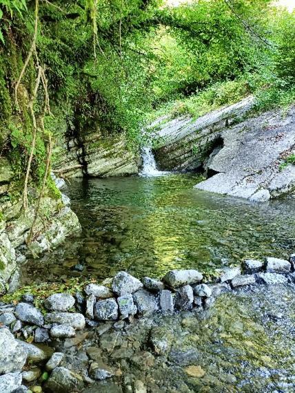 La Capinera – immagine