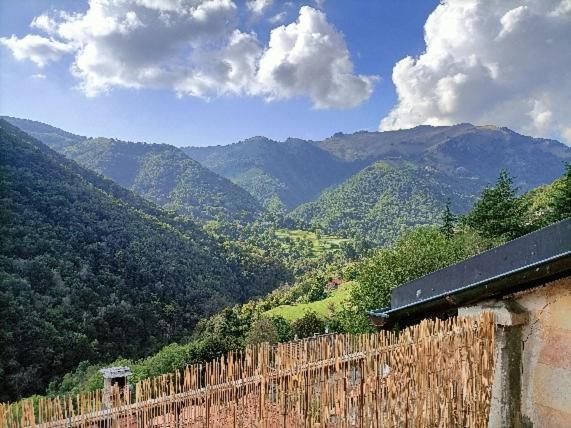 La Capinera – immagine