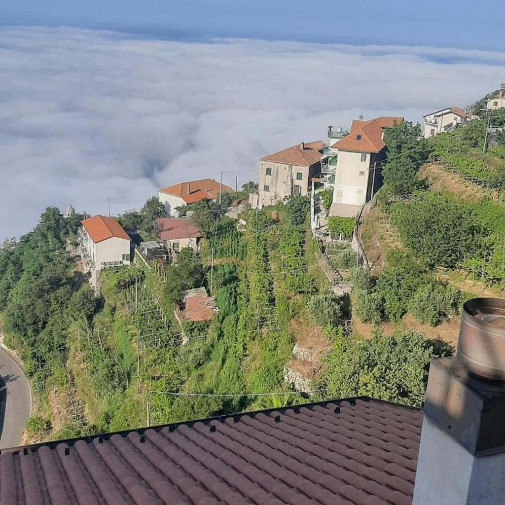 Al Geranio b&b Furore photo