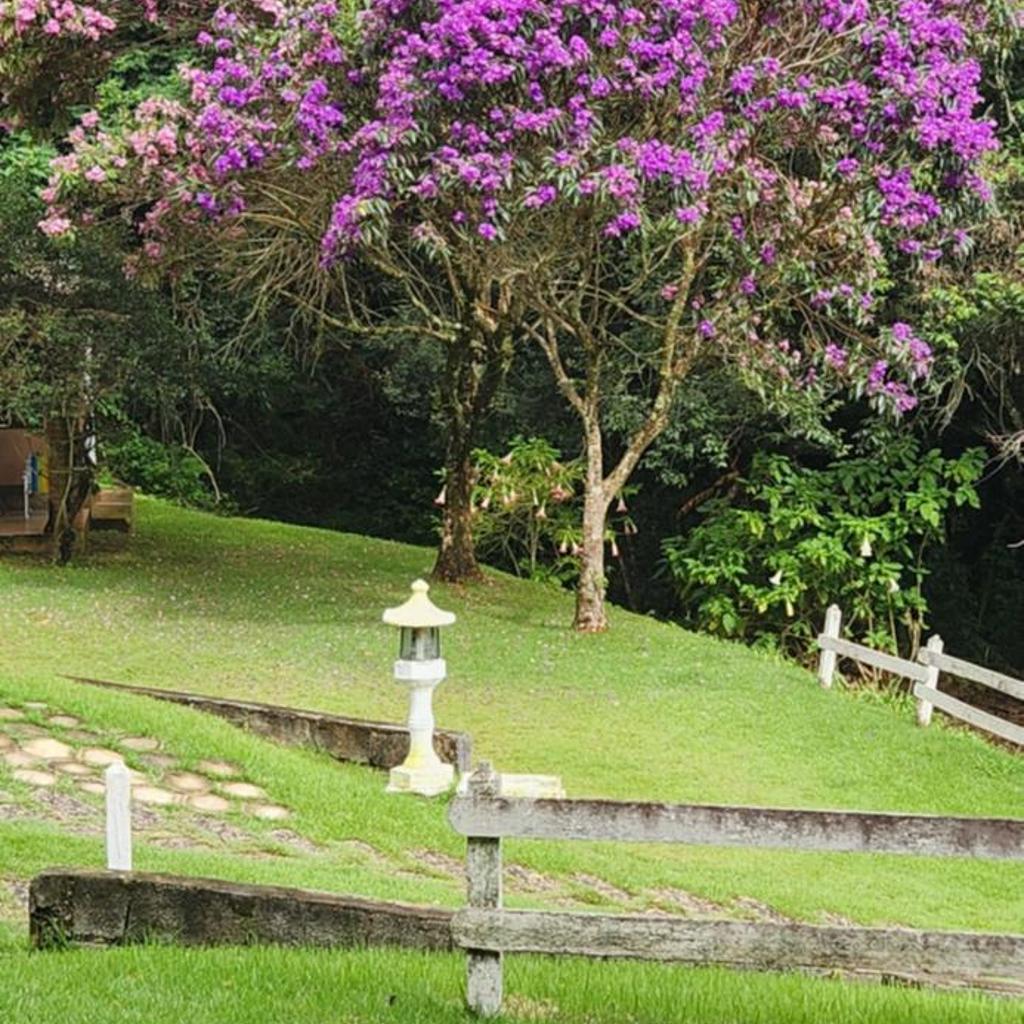 Pousada Cheiro de Mato — foto 6