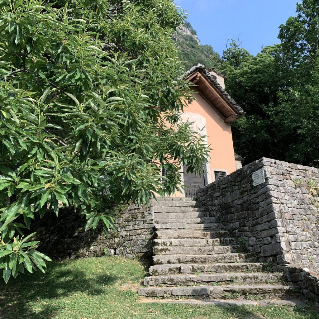 Image 18 - Casa Liberty