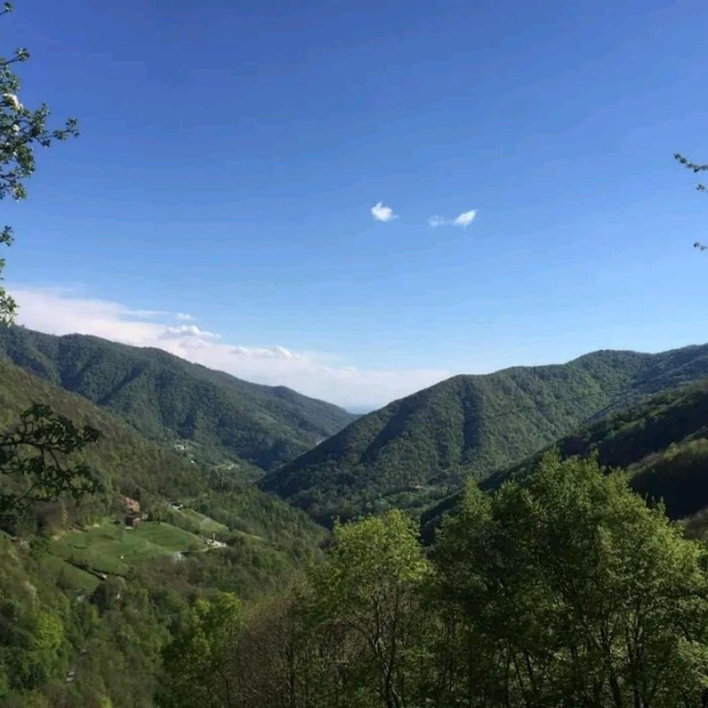 Image 14 - Chalet Cabbio