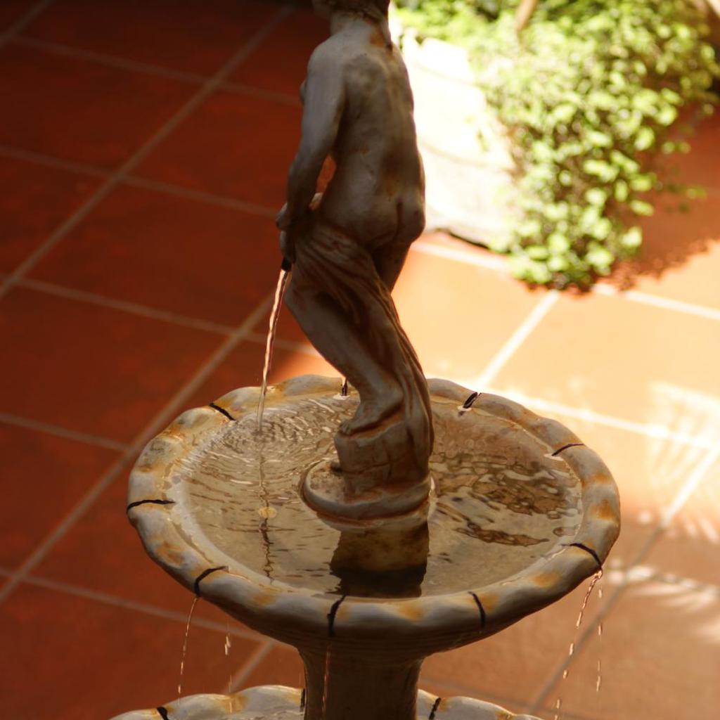 Foto 7