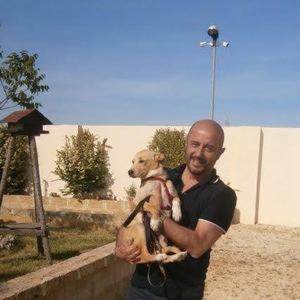 "CHALET dei FIORI" room & apartment – Bild