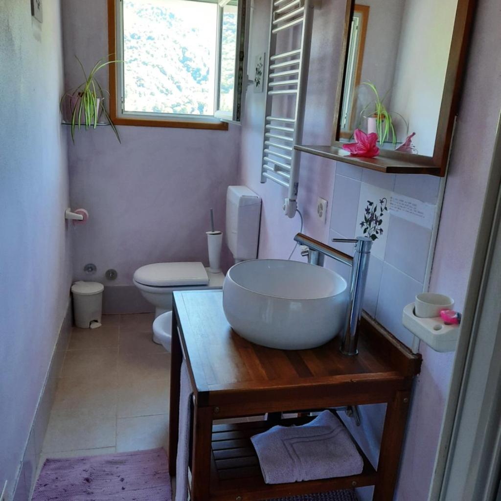 La Nave B&B – Bild