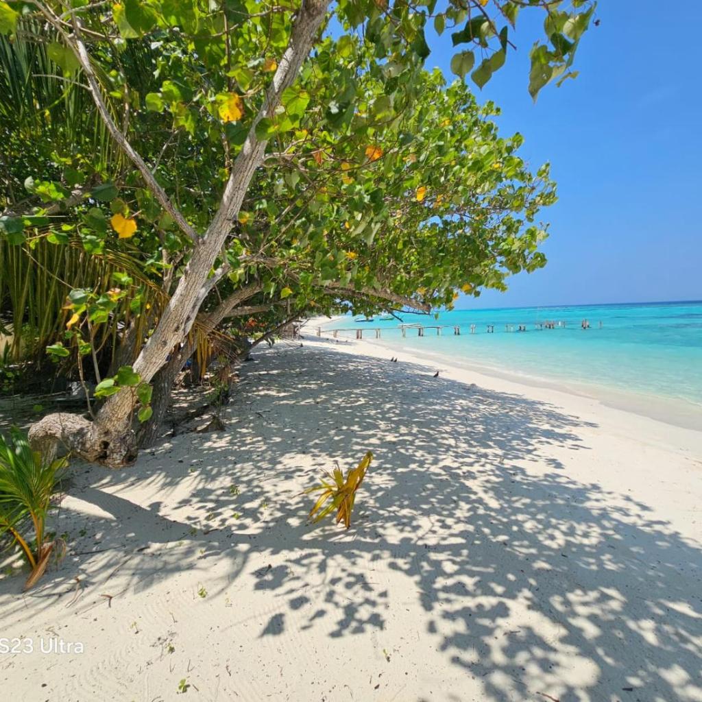 Kuri Himandhoo Inn, photo 2