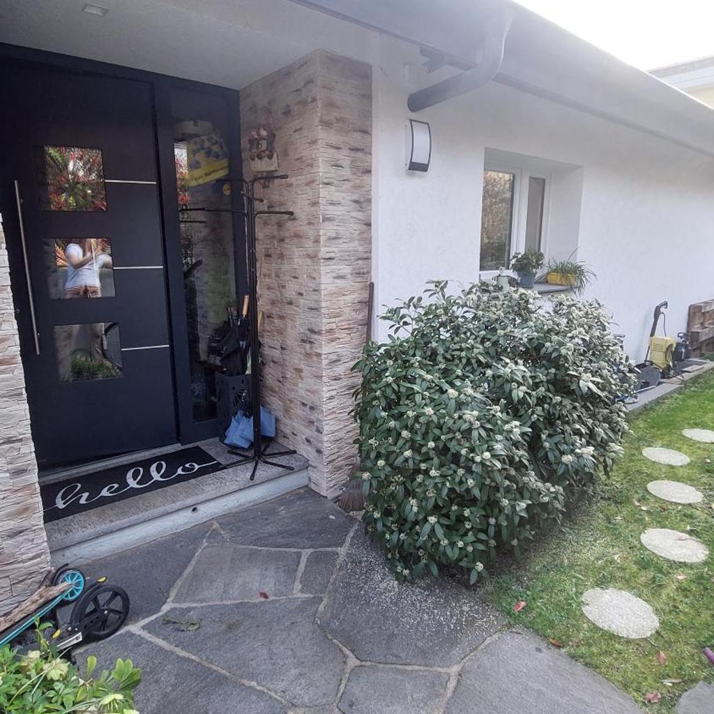 Image 13 - Casa celeste, stanza in appartamento condiviso