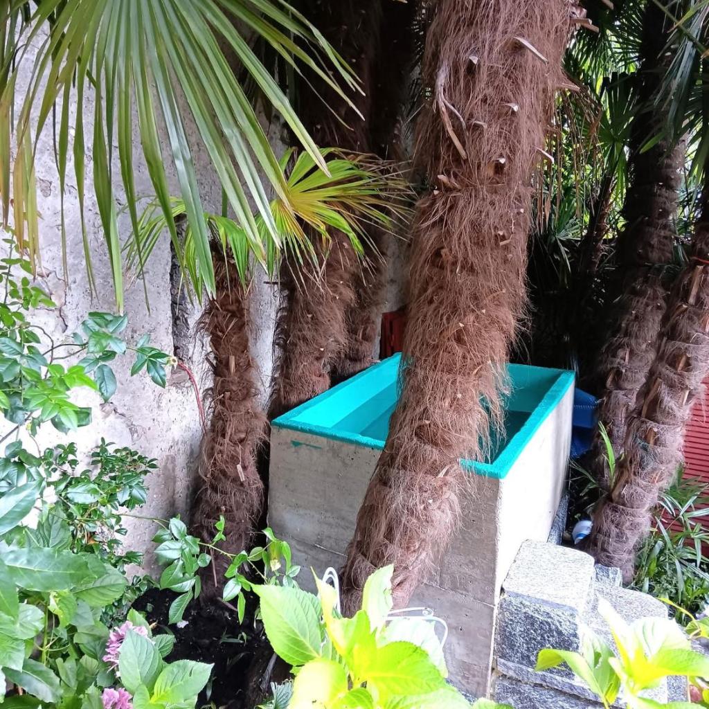 CASA BELGERI - Bed & Breakfast – Bild