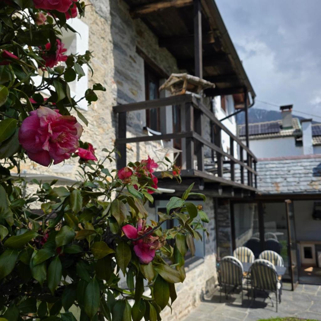 Image 1 - Casa Carina - Enchanted rustico in Mergoscia