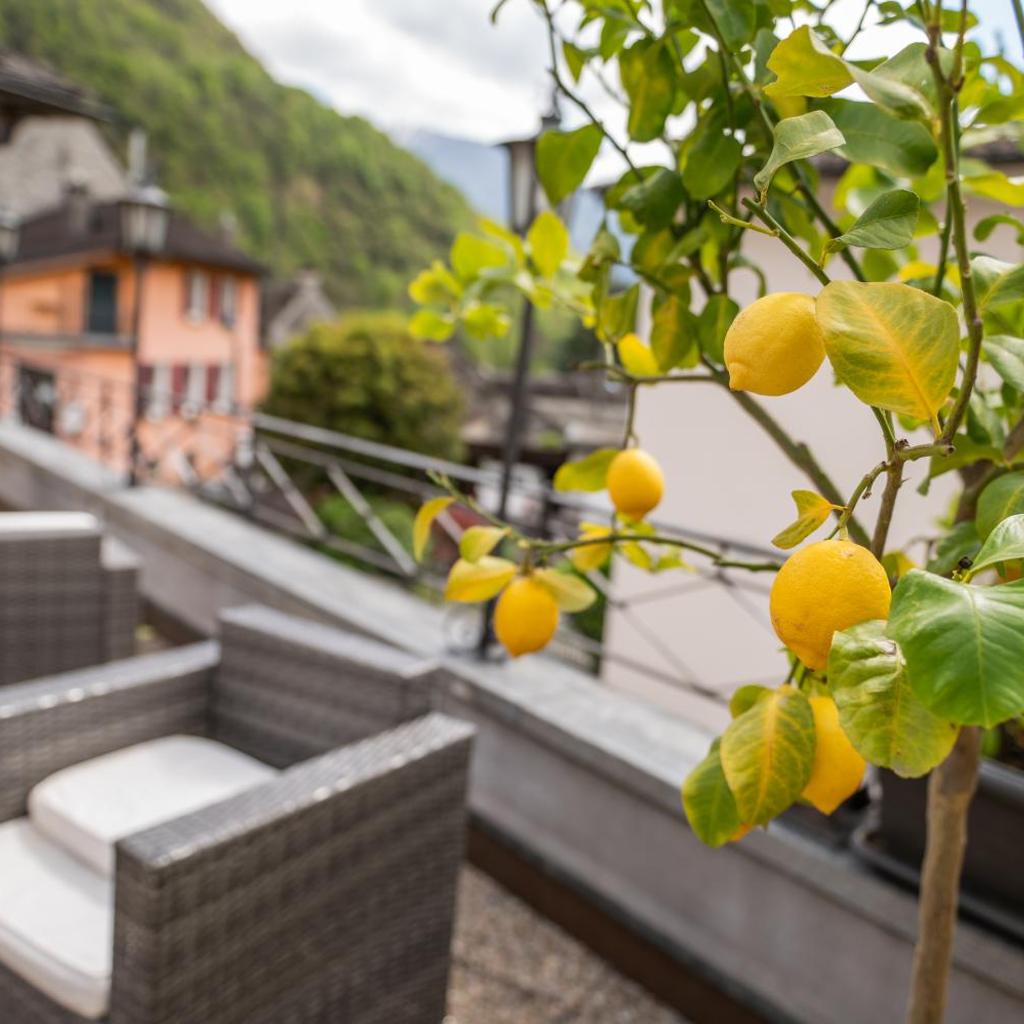 Locanda Poncini – image