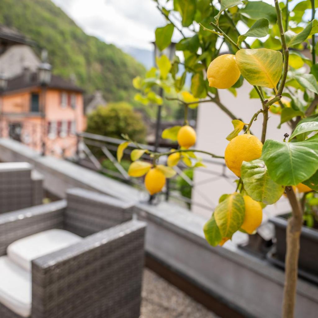 Locanda Poncini – image