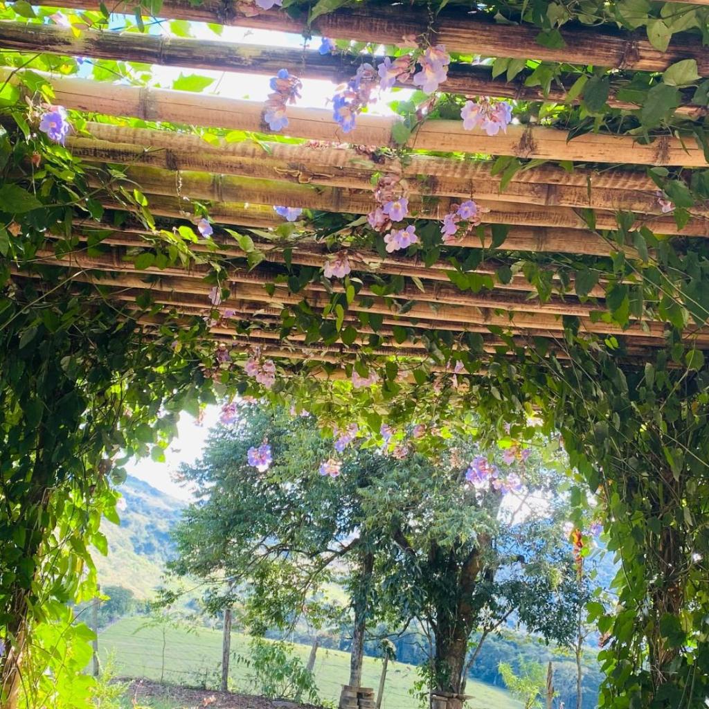 RECANTO FLORES DA MONTANHA- via fácil ASFALTO, VISTA das Montanhas — foto 8