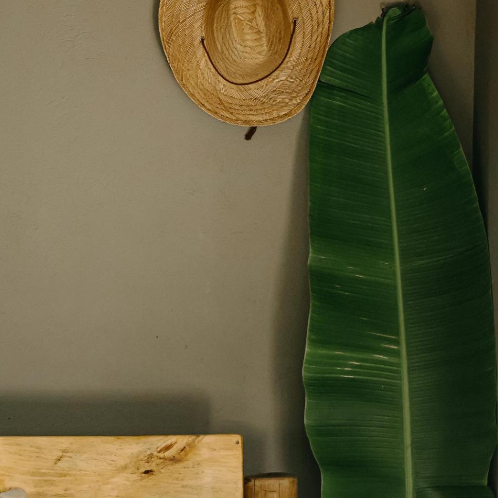 Na Villa dos Algodões — foto 8