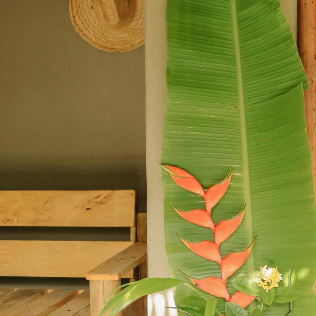 Na Villa dos Algodões — foto 12