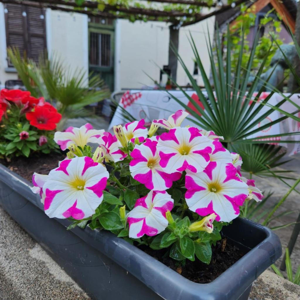 B&B Osteria Morganti – image