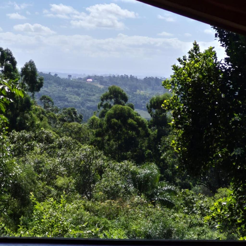 Sítio Espinilho — foto 6