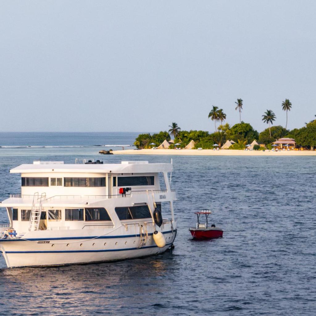 Maverick Surf & Dive Boutique Resort - Complimentary Airport Transport for Full Board Stays of 6 Nights or More, photo 2