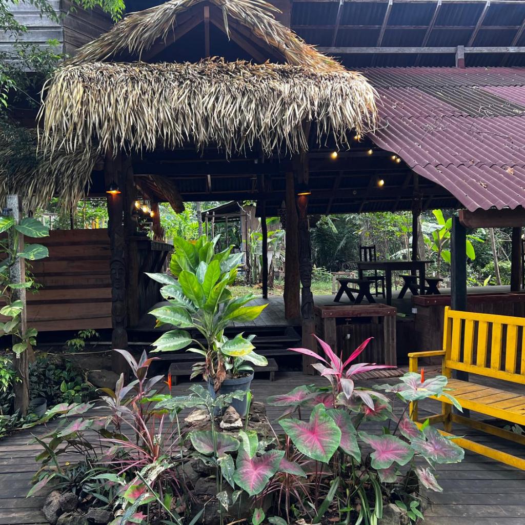 TerrAmor Ecoliving — foto 10