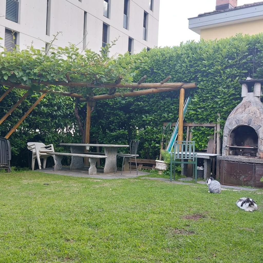 Image 5 - Casa celeste, stanza in appartamento condiviso
