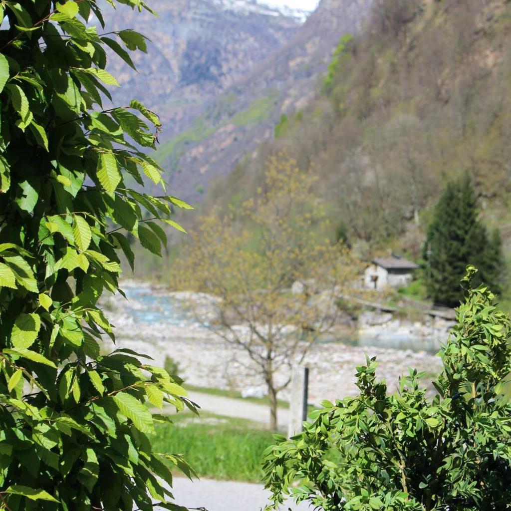 Image 4 - MyVerzasca Resort Casa Rossa