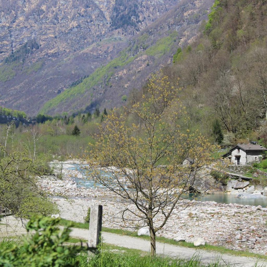 Image 75 - MyVerzasca Resort Casa Rossa