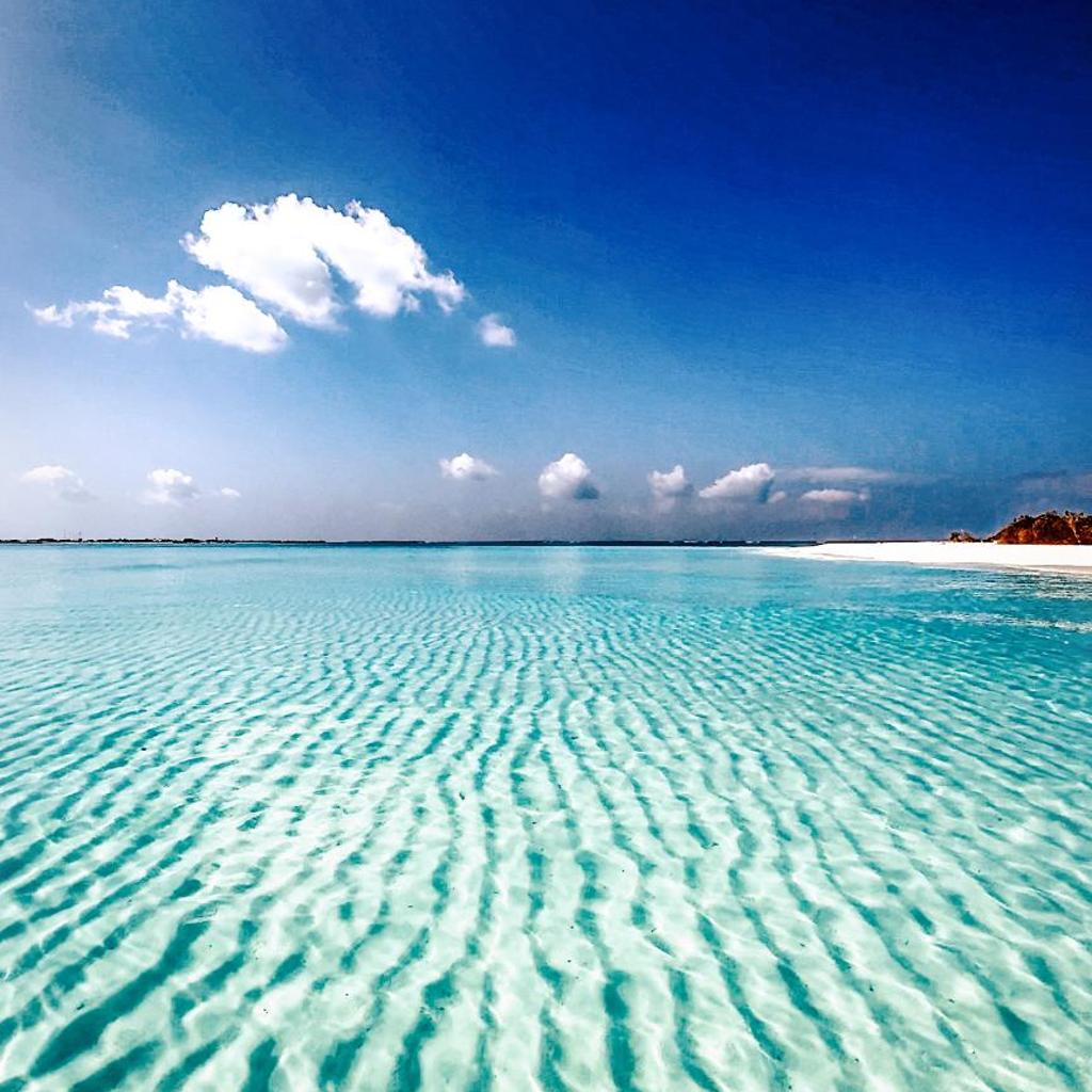 Beach Inn Vashafaru, photo 4